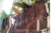Heavy rains result in water logging, retention wall collapse